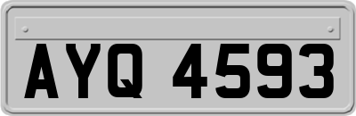AYQ4593