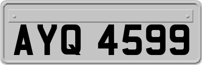 AYQ4599
