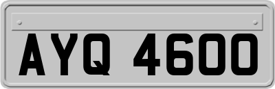 AYQ4600