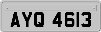 AYQ4613