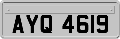 AYQ4619