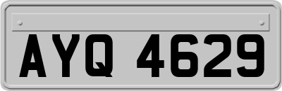 AYQ4629
