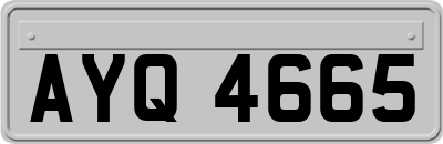 AYQ4665