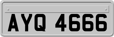 AYQ4666