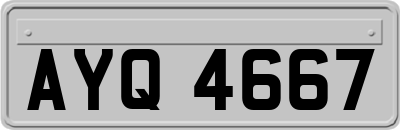AYQ4667