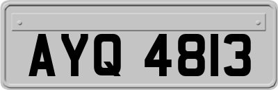 AYQ4813