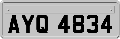 AYQ4834