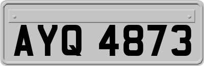 AYQ4873