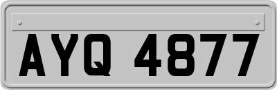 AYQ4877