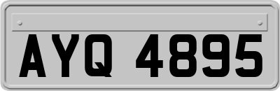 AYQ4895