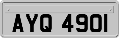AYQ4901