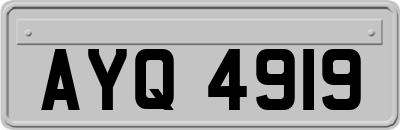 AYQ4919