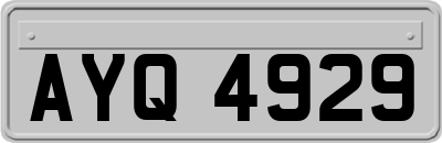 AYQ4929