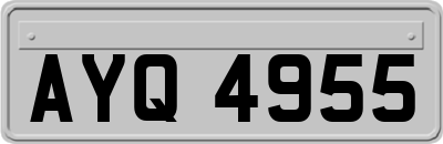 AYQ4955