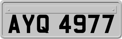 AYQ4977