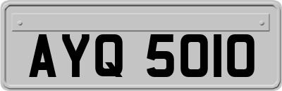 AYQ5010
