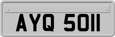 AYQ5011