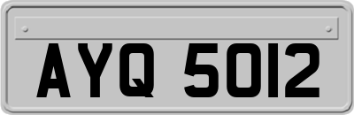 AYQ5012