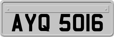 AYQ5016