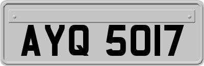 AYQ5017