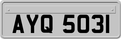 AYQ5031