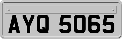 AYQ5065