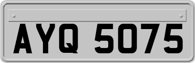 AYQ5075