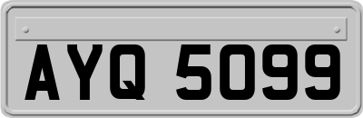 AYQ5099