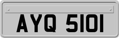 AYQ5101