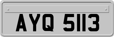 AYQ5113