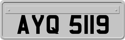 AYQ5119