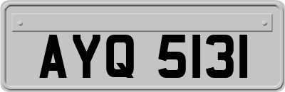 AYQ5131