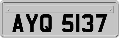 AYQ5137