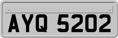 AYQ5202