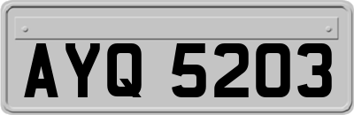 AYQ5203