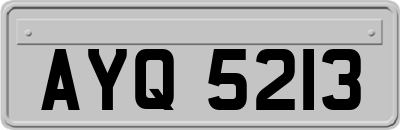 AYQ5213