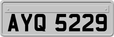 AYQ5229