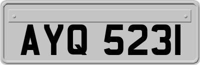 AYQ5231
