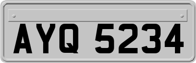 AYQ5234