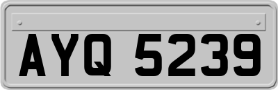AYQ5239