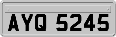 AYQ5245