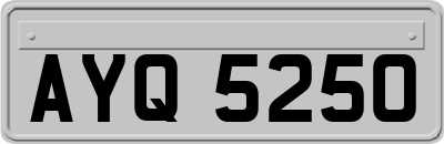 AYQ5250