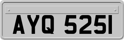 AYQ5251