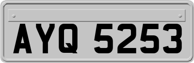AYQ5253
