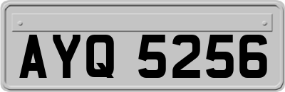 AYQ5256