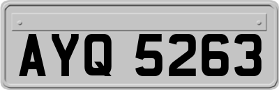 AYQ5263
