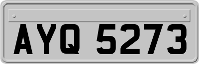 AYQ5273