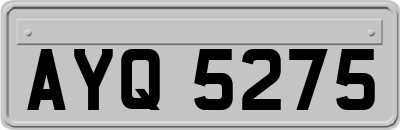 AYQ5275