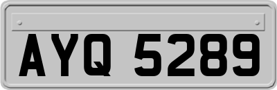 AYQ5289