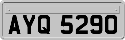 AYQ5290